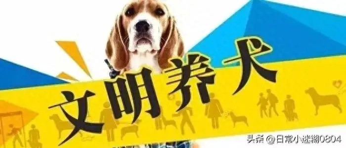 重庆市公安网上查询平台，帮助养犬人了解禁养犬种类目录！