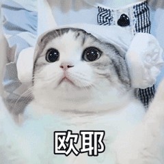 猫的毛发怎么才能有光泽